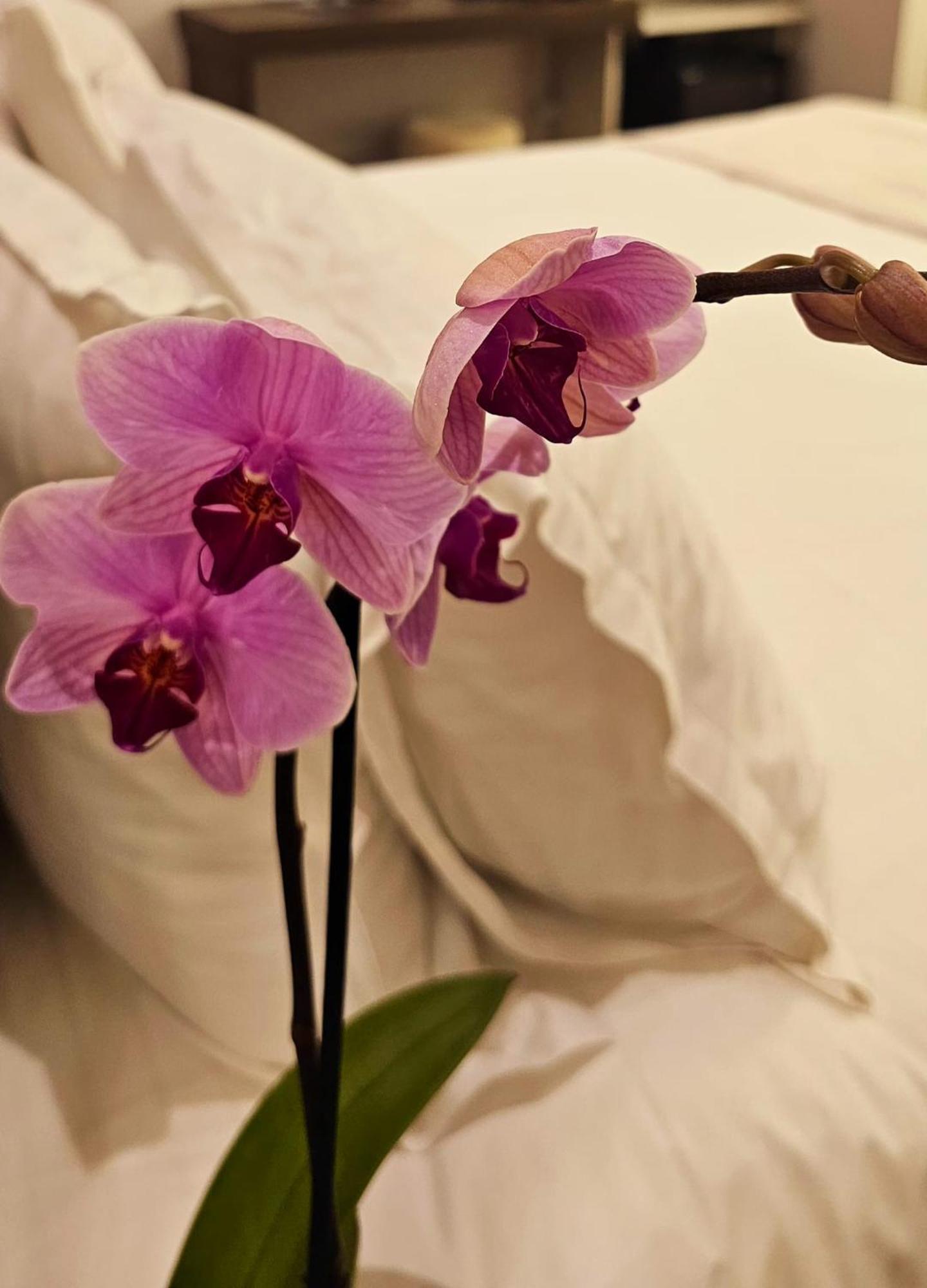 Stoa Rome Boutique Suites Экстерьер фото